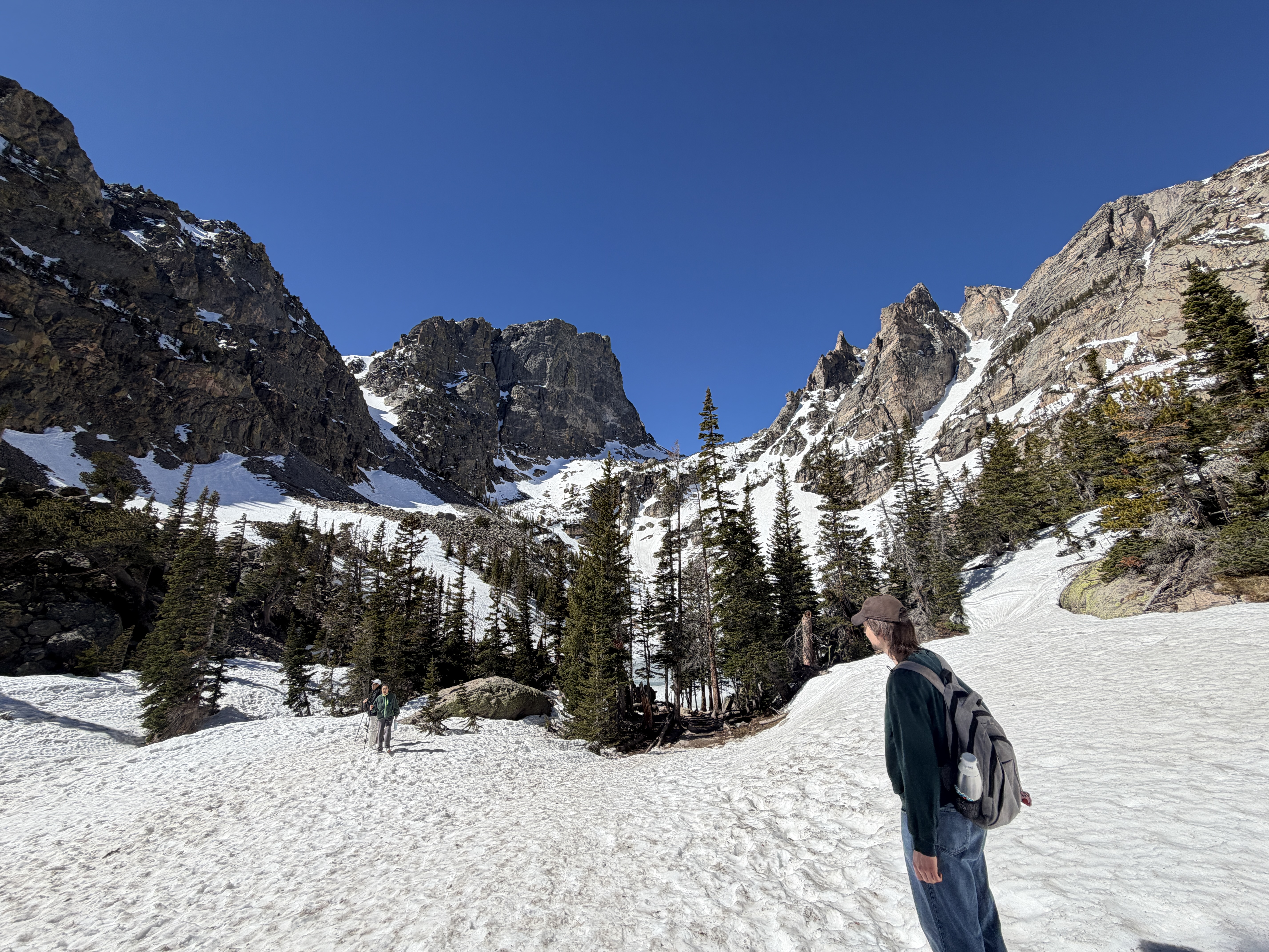 Caedmon facing the mountains in Rocky Mountain National Park